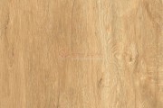 Gạch Ốp Lát APODIO 61333003